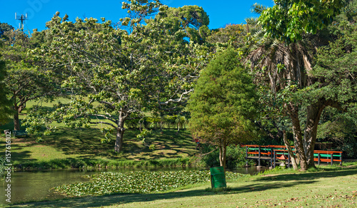 Bridge over Lily pond at the Durban North Japanese Gardens, KwaZulu-Natal, South Africa