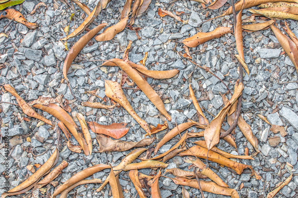 stone ground with dry leaf background texture stone ground with dry leaf background texture