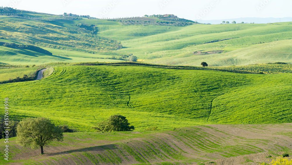 Beautiful hills of Tuscany in spring