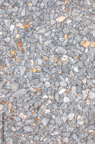 Wallpaper Mural stone ground with dry leaf  background texture Torontodigital.ca