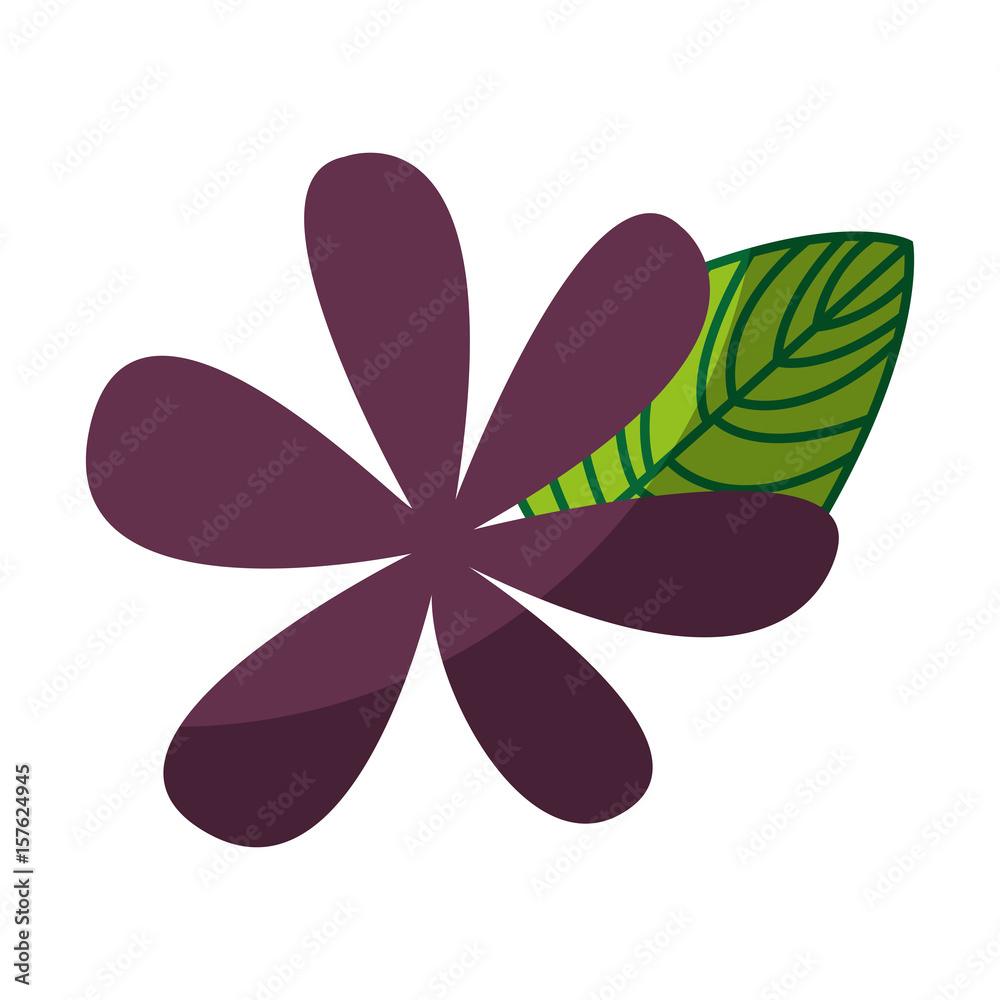 cute flower drawing decorative vector illustration design cute flower drawing decorative vector illustration design