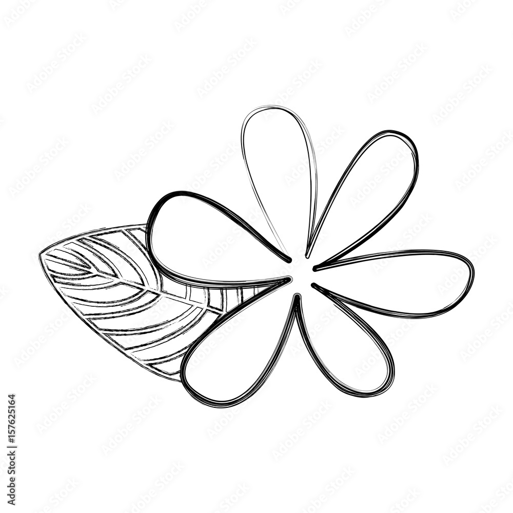 cute flower drawing decorative vector illustration design cute flower drawing decorative vector illustration design