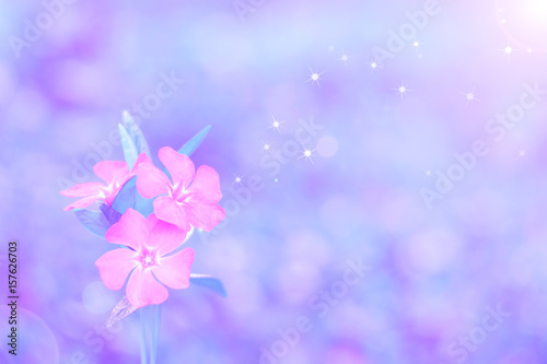 Fototapeta Naklejka Na Ścianę i Meble -  Beautiful floral background in soft pastel colors. Selective choice