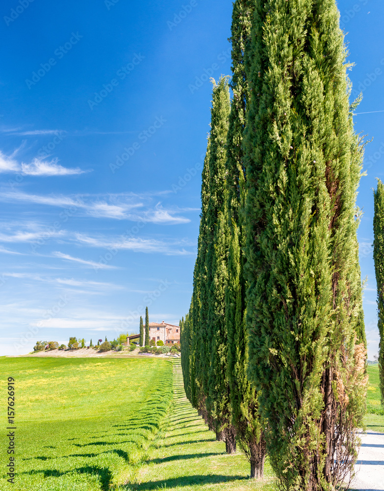 Beautiful hills of Tuscany in spring with cypresses