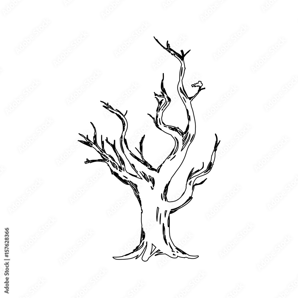 Dry tree silhouette icon vector illustration graphic design Dry tree silhouette icon vector illustration graphic design