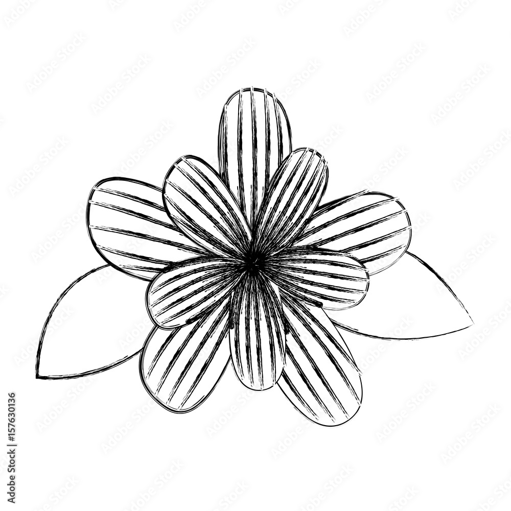cute flower drawing decorative vector illustration design