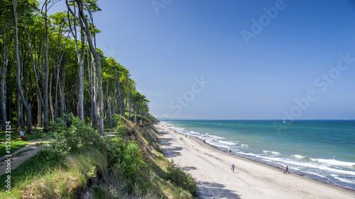 Fototapeta Naklejka Na Ścianę i Meble -  Gespensterwald an der Ostsee bei Nienhagen im Frühling