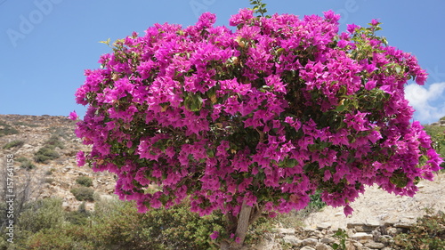 Photo of picturesque island of Ios on a summer morning  Cyclades  Greece