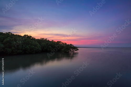 Mangrove forest on sea in Thailand © Peera