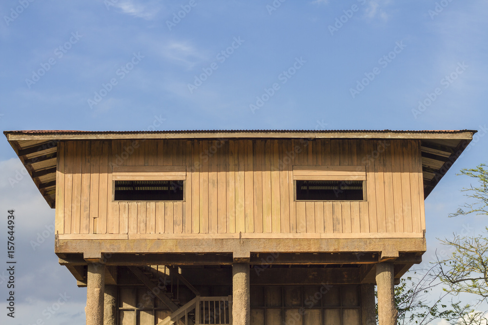 wooden house in the forest