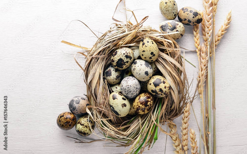 Quail eggs. Wooden background. Top view. Free space. Quail eggs. Wooden background. Top view. Free space.