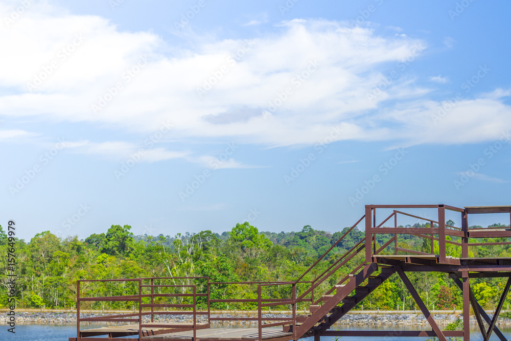 Beauty landscape with blue sky in the forest.