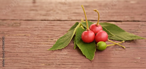 Flacourtiaceae / Indian plum on the old wooden floor and blurred background. photo