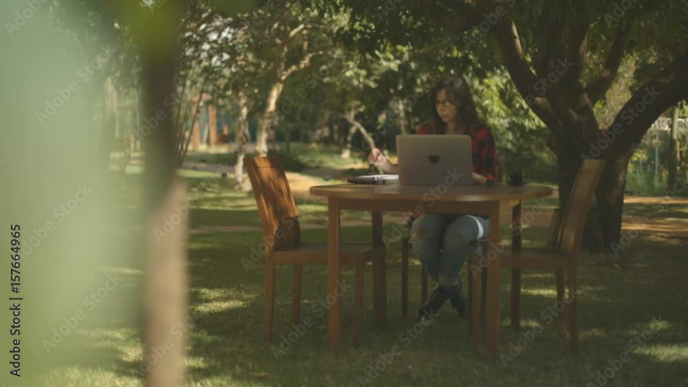 Freelancer woman working with the computer in a park Freelancer woman working with the computer in a park