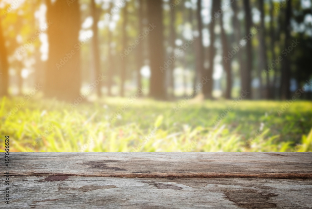 Selected focus empty wooden table and view of green forest blur background with bokeh image. for your photomontage or product display Selected focus empty wooden table and view of green forest blur background with bokeh image. for your photomontage or product display