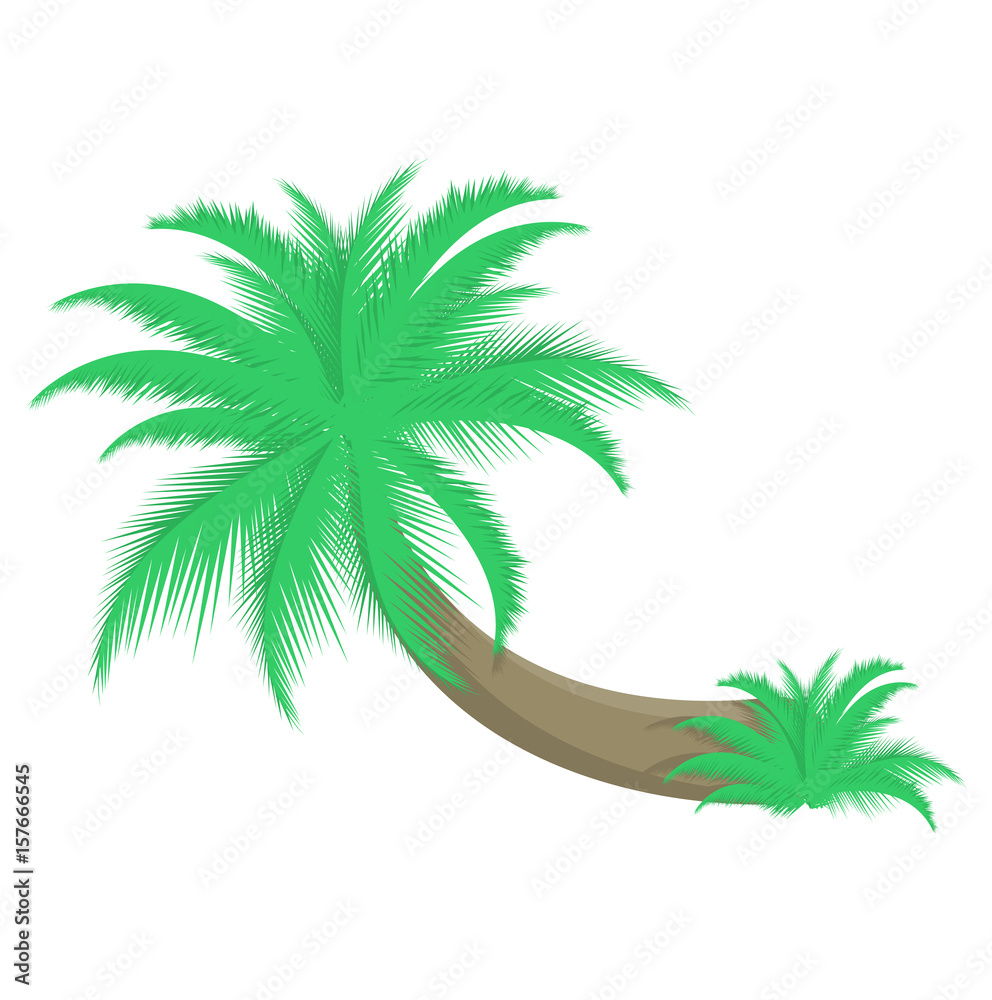 Obraz premium Ilustracja wektorowa palmy