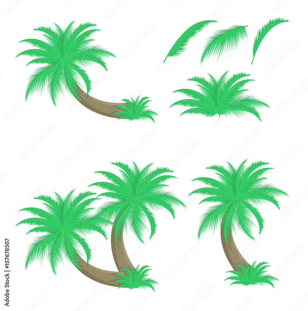 Set of palm trees and leafs
