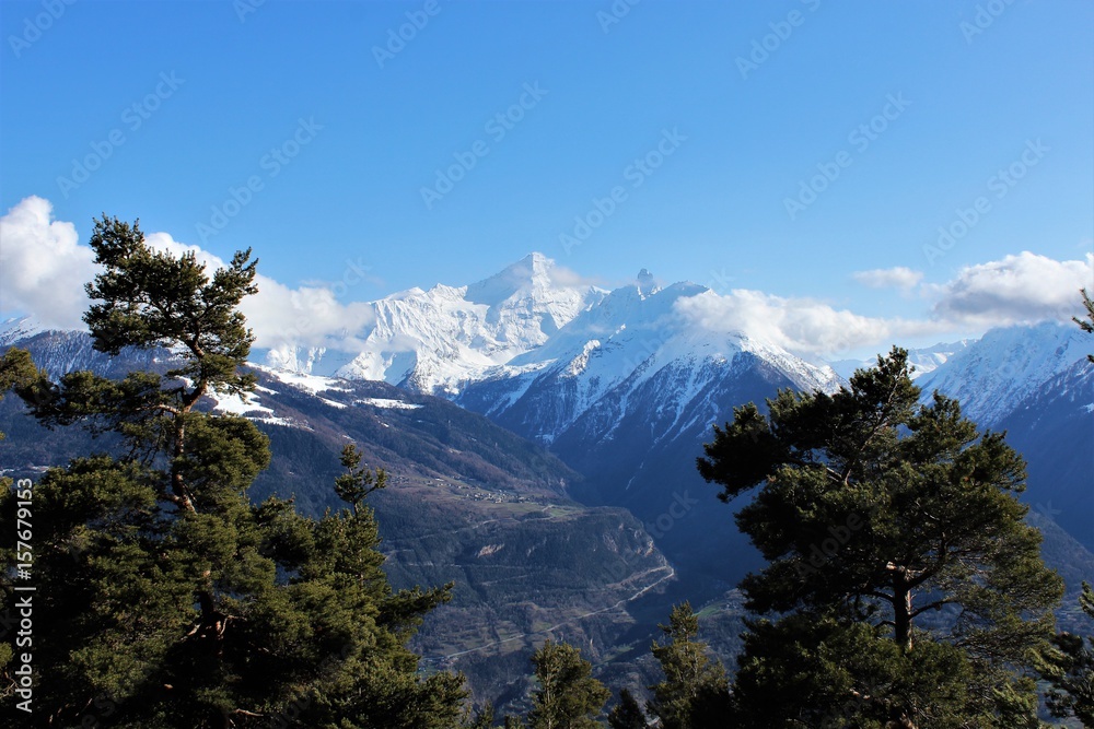 Obraz premium Grivola