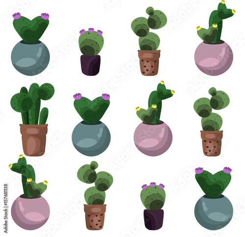 Cactus set collection Vector illustration