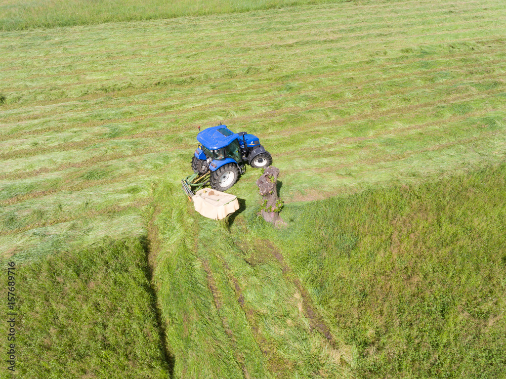 Farm tractor working in the fields