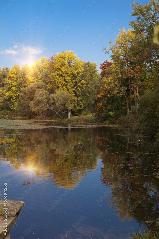 Obraz premium The bright autumn wood is reflected in the lake
