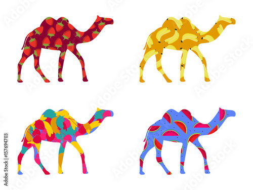 Bactrian camel Indian. Camel with a pattern of berries and fruit isolated on a white background. Bananas, strawberries and watermelon. Set of vector illustrations