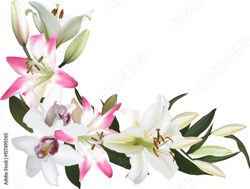isolated corner from light orchid and lily flowers