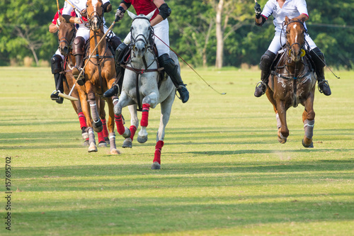 Horses running in a polo match.