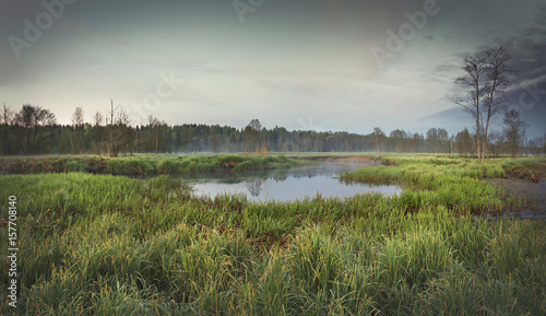 sad landscape of the morning nature on the bank of river against a background of dark forest with fog