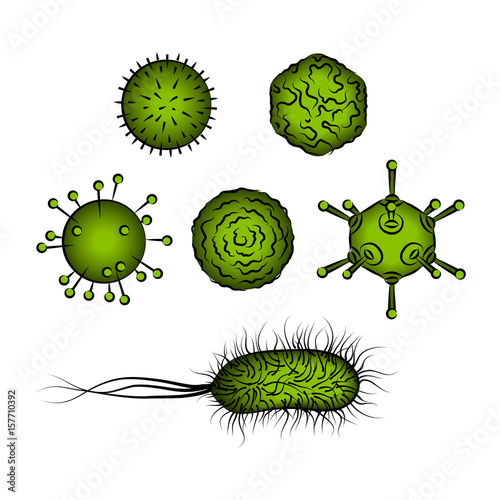 Influenza viruses and E coli Bacteria. Vector illustration