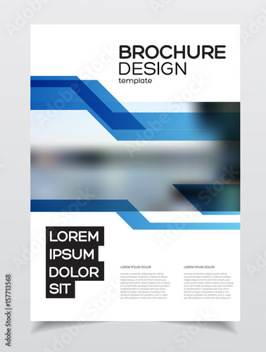 Business Brochure design. 