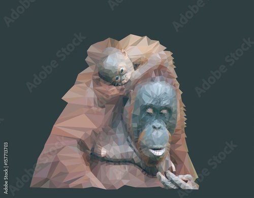 Orangutan mother with her baby.