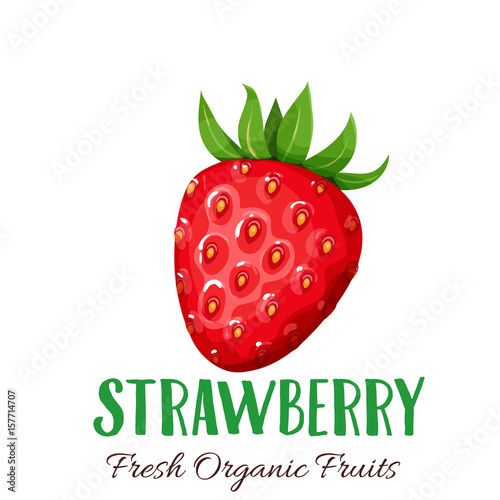Vector strawberries illustration