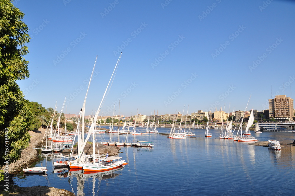 Feluccas in Nile River, Egypt