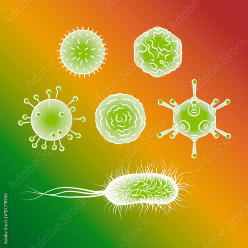 Influenza viruses and E coli Bacteria. Color vector illustration