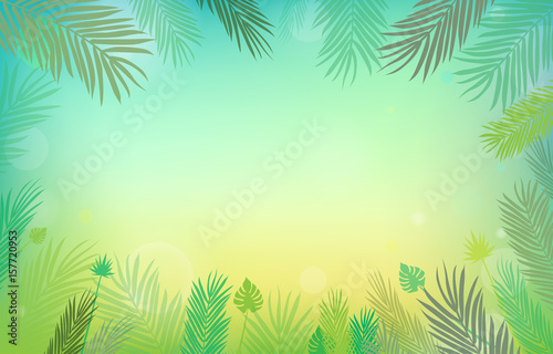 Summer Background Vector Illustration 