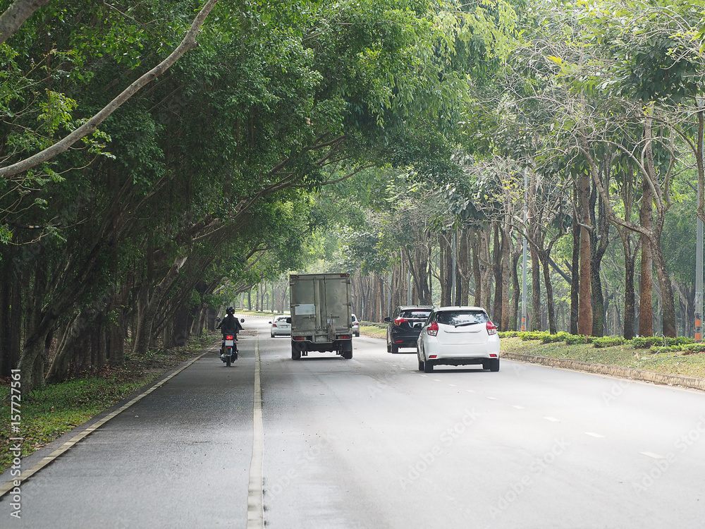 Many cars and motorcycle on Road with the trees