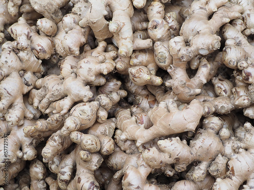 Fresh organic ginger on fresh market in thailand