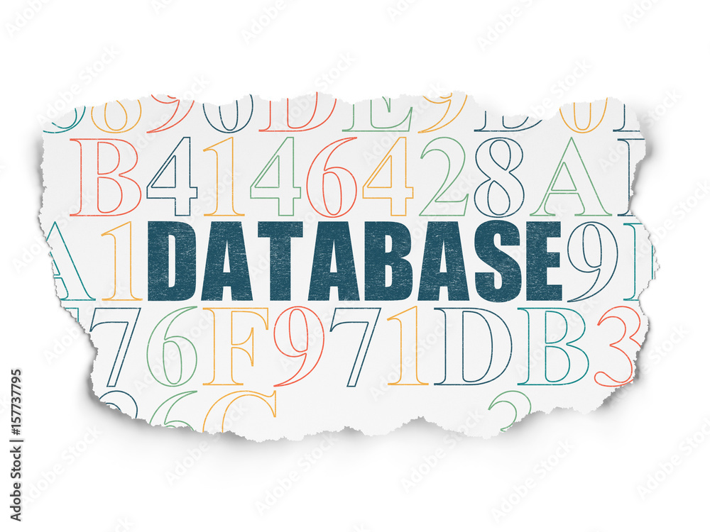 Software concept: Database on Torn Paper background