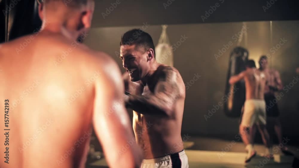 Hard working boxer during the workout Hard working boxer during the workout