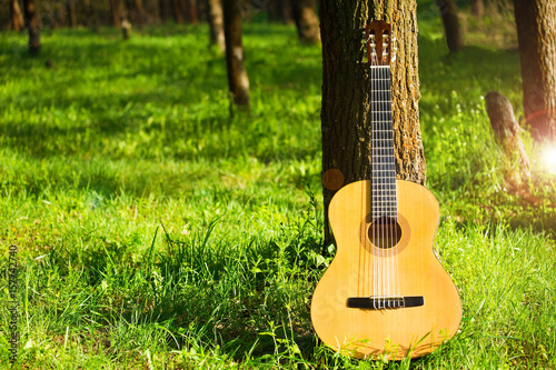 The guitar on the nature