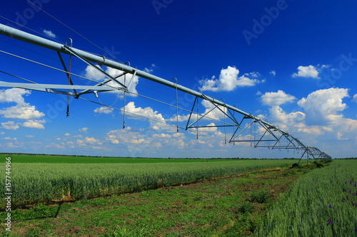 Pivot irrigation in wheat field