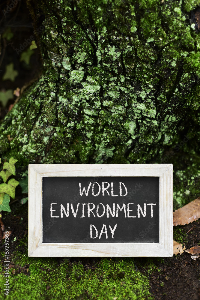 chalkboard with the text world environment day