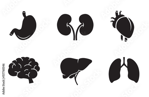 Human organs vector icon set.