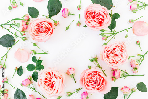 Floral frame of pink roses, buds and petals on white background. Flat lay, top view. Floral background.