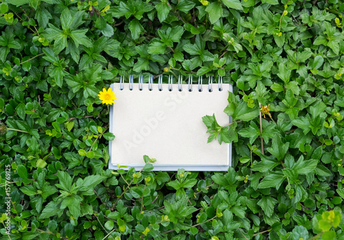 notebook on green leaves