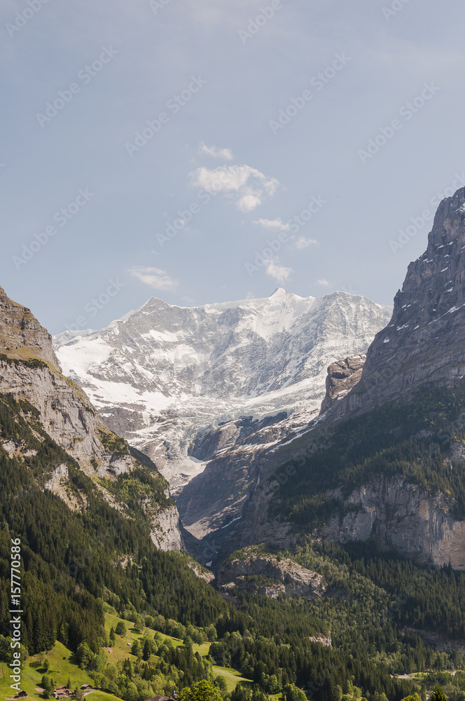 Grindelwald, Dorf, Berner Oberland, Alpen, Grindelwaldgletscher, Eiger, Eigernordwand, Schweizer Berge, Frühling, Sommer, Schweiz