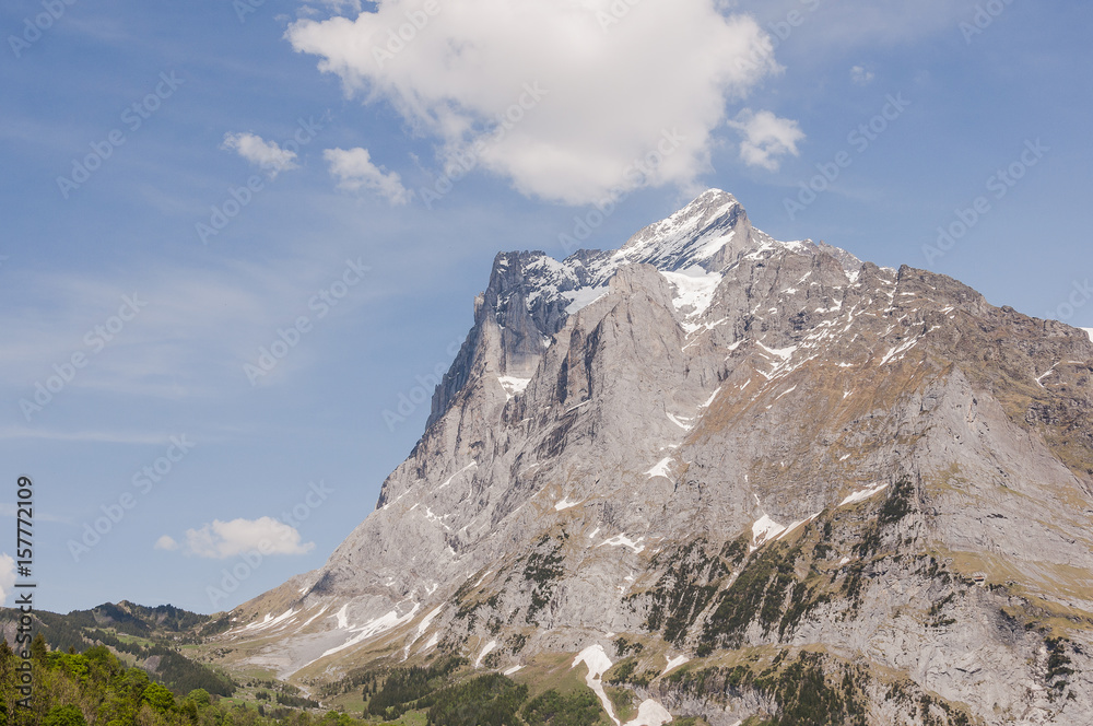 Grindelwald, Dorf, Berner Oberland, Wetterhorn, Grosse Scheidegg, Wanderweg, Alpen, First, Schweizer Berge, Frühling, Sommer, Schweiz