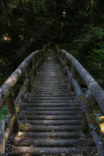 徳島県つるぎ町　土々呂の滝　遊歩道 © setsuna