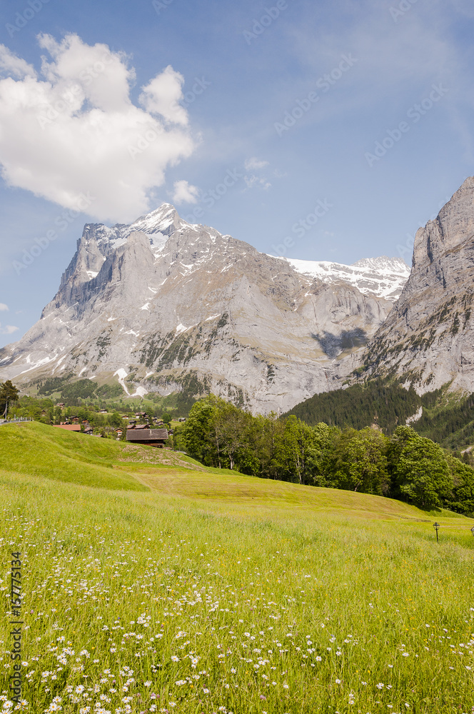 Grindelwald, Dorf, Bergdorf, Alpen, Berner Oberland, Wetterhorn, Grosse Scheidegg, Wanderweg, Frühling, Sommer, Schweiz
